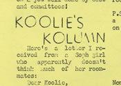 Koolie